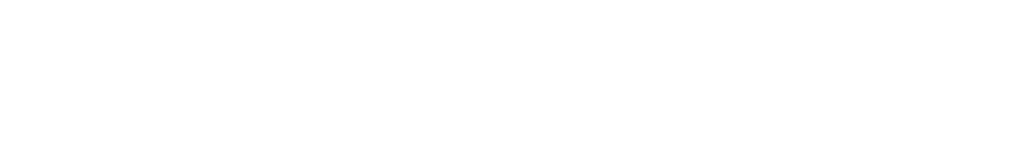 skyconnectusa logo white